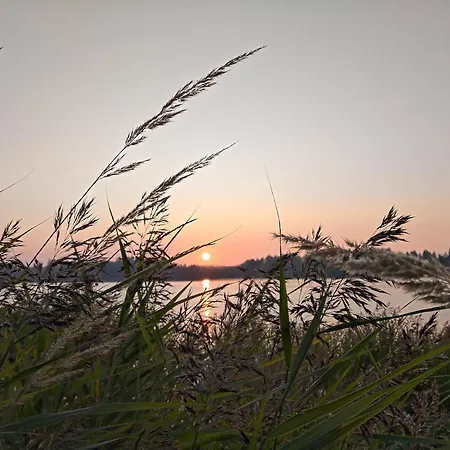 Bergvikin Kartano فندق Kruusila