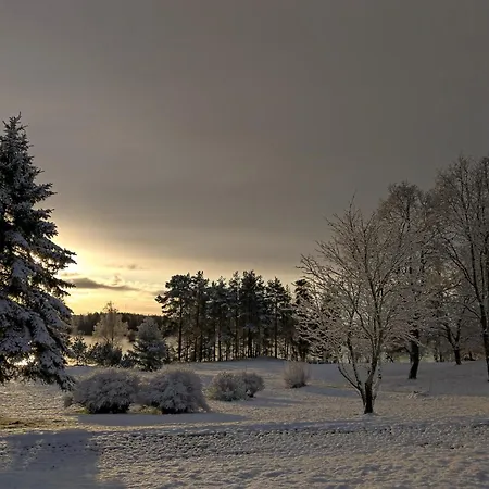 Aparthotel Bergvikin Kartano Kruusila