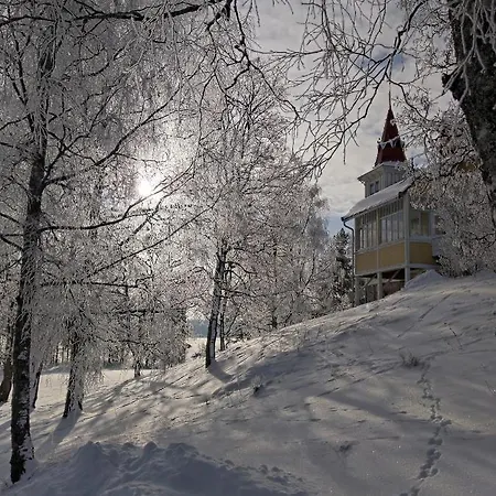 Bergvikin Kartano *