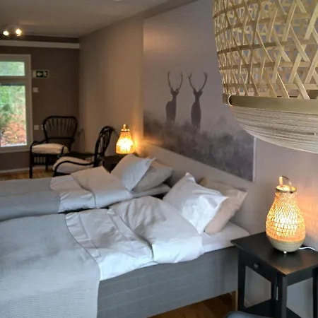 Bergvikin Kartano فندق *