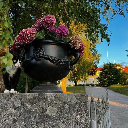 Bergvikin Kartano فندق