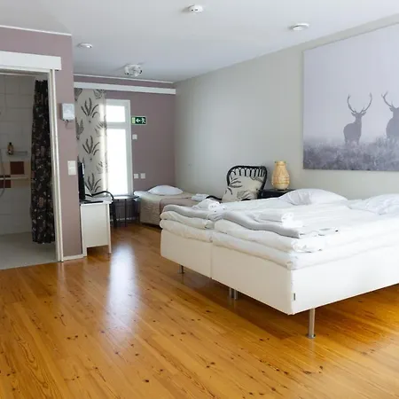 Bergvikin Kartano فندق *